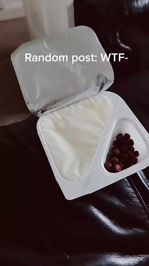 Exploring Unique Round Objects in a Plastic Container