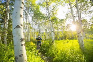 Colorado's 5 Most Popular Trail Networks According to Trailforks Data