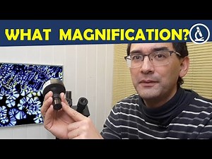 🔬 What magnification does the microscope camera have? | Amateur Microscopy
