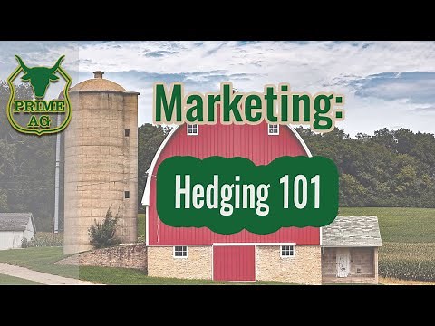 Grain Marketing 101: What is hedging in Grain and Livestock Markets?