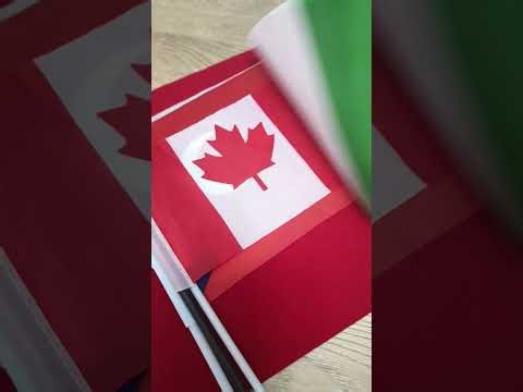 Showing my flags I have as collection