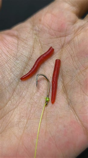 A simple and strong way to attach worm bait to a hook #tutorial #gtknot #angler #fishingtips