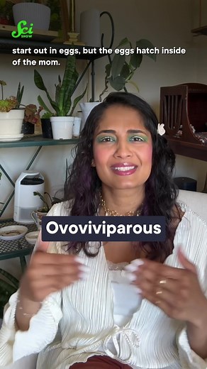 #stitch with @bizarrebeasts So we already knew that these wormy amphibians feed their skin to their newborns, but now they're making cloaca milk too?! Thanks to our friends at Bizarre Beasts for alerting us to this nightmare fuel. #science #scishow #amphibian