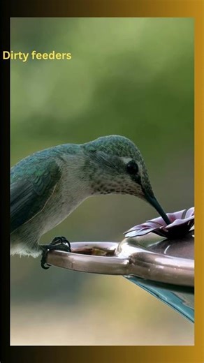 Spring doesn’t begin with flowers… it begins with wings. #facts #animallife #animalfacts #nature