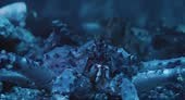 Large crab in ocean depths, expertly maneuvering pincers. Crab's...