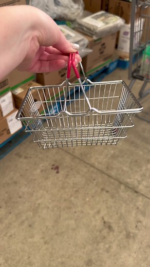 1M views · 10K reactions | Mini Shopping For Our Backyard BBQ #minishopping #minis #miniatures #miniaturefood #minishoppingcart #minifood #mini #miniature | Tasha_minis | Facebook