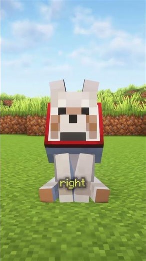 SPEAR DOGS SECRET in Minecraft