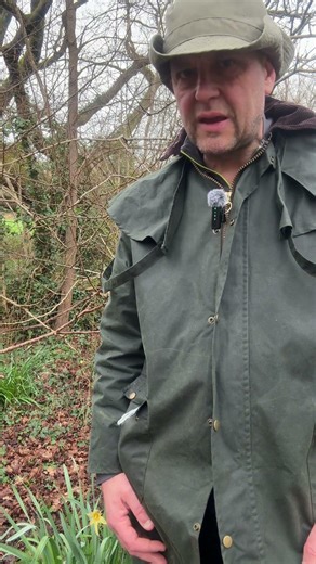 Why Old Apple Trees Were Wonky