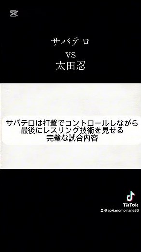 サバテロvs太田忍 RIZIN