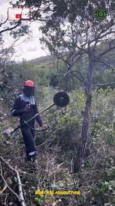 Introducing the most powerful brushcutter machine on the market, designed to handle the toughest landscaping tasks with ease. This incredible tool features a high-performance engine that delivers unmatched cutting power, making it ideal for clearing dense underbrush and overgrown areas quickly and efficiently. With its ergonomic design, you can maintain comfort during extended use, reducing fatigue while maximizing productivity. Whether you're a professional landscaper or a passionate gardener, 