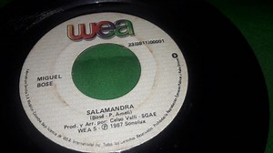 Miguel Bosé - Salamandra