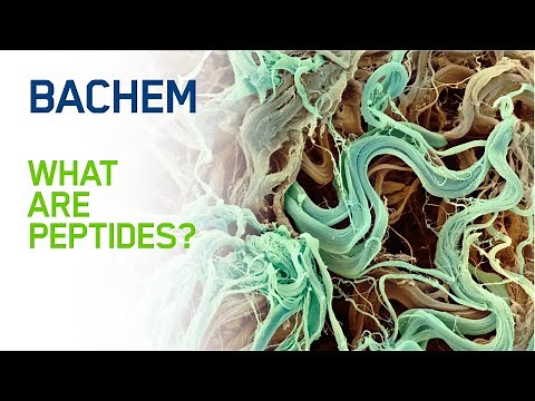 What are peptides? 🤔