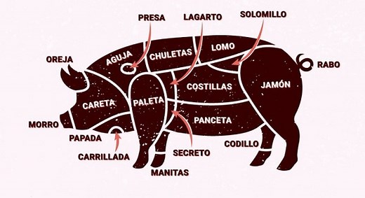 Partes del cerdo | El animal más aprovechable - Tirso de Molina