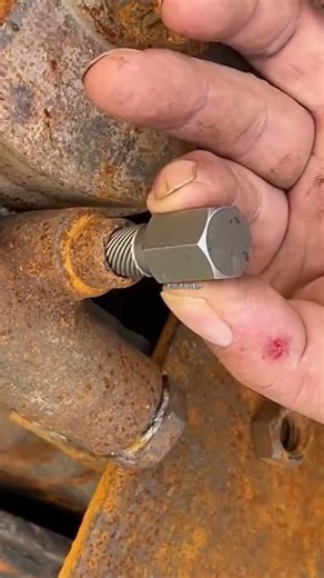 Multi-spline screw extractor set, which is a tool used to remove broken or stripped screws and bolts