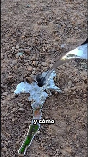 Este Experimento Reveló Algo Oculto 🐍