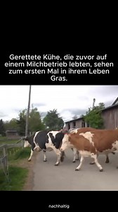 5.4M views · 143K reactions | Michael Jäger on Reels | Facebook