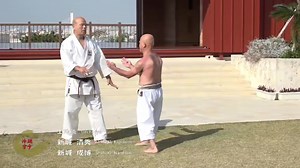 10K views · 679 reactions | Okinawa Karate Uechi Ryu. | Karate Science | Facebook