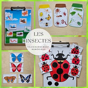 Insect Matching Activities, 4 Butterfly Puzzles, Activities for Preschoolers. - Etsy UK