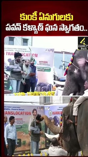 pawan kalyan feeding a kumki eliphant