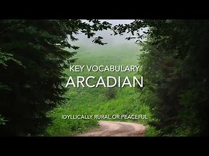 Earth Path Through Deep Green Forest 🌳