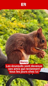 674K views · 12K reactions | ️ C’est une belle histoire qui s’est...