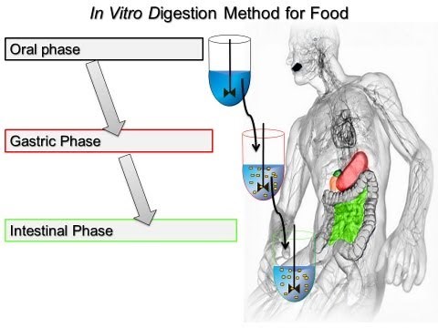 Static In Vitro Digestion Method for Food (2014 Minekus et al. Food & Function)
