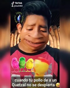 Tik tok graciosos 🤣 Canal de youtube: https://youtu.be/7IMLyf8Z1pw | Perez lopez isaac