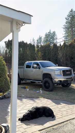 We just getting started #Truck #lmm #trucktok #trucktiktok #trucksofcanada