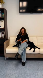 4.7K views · 135 reactions | Happy New Year from Miami-Dade Animal...