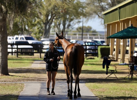 'A Lot of Buzz': OBS March Sale Starts Tuesday