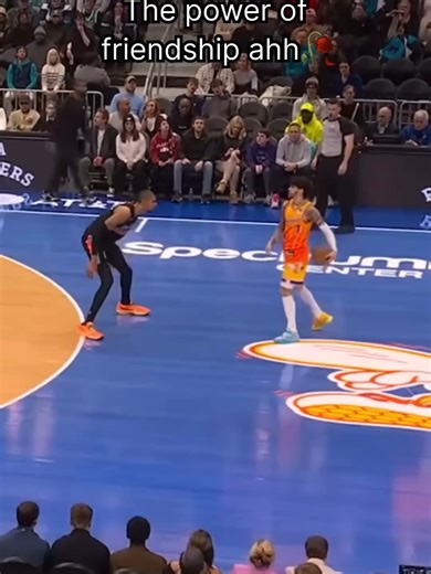 Understanding the Scary Hornets in NBA Basketball