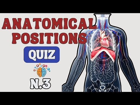Master Anatomical Positions and Directional Terms in Minutes! Quiz #3