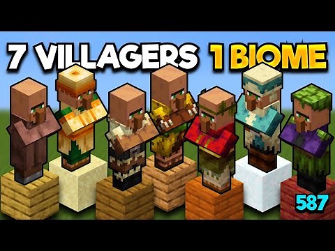 How To Get ALL Villager Types In One Village
