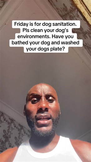 Dog Sanitation Day: Keeping Your Dog's Environment Clean