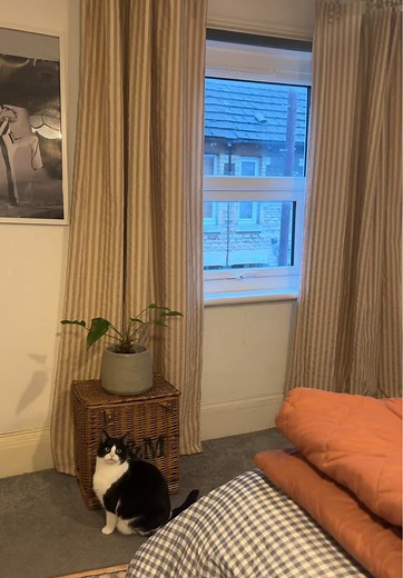 Peachy Stripe Curtains from Dunelm for Cozy Bedrooms