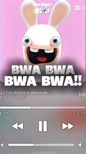 DJ Rabbid (Tia Monika) - #capcut