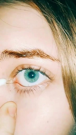 ДашГог on TikTok