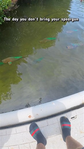 The day You don’t bring your Fishing Rod