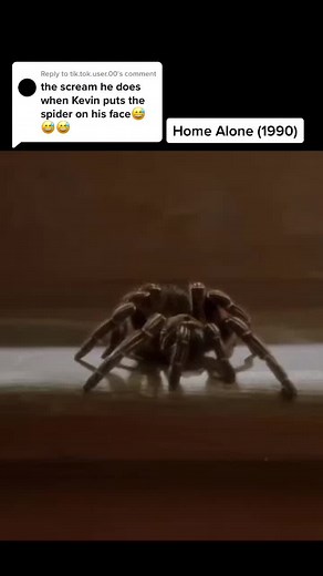 Home Alone Movie Insights and Memorable Moments