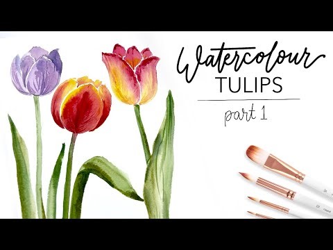 Spring Tulips - How to Paint Flowers in Watercolor