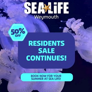 Don’t forget you can still save a JAW-SOME 50% off tickets if you have a DT or BH postcode! 🥳 Meet all our incredible creatures as you dive into our underwater world at SEA LIFE Weymouth this summer! 🩵🪼 For more information to to book 🔗-visitsealife.com/weymouth/residents-sale/ | Weymouth SEA LIFE Adventure Park