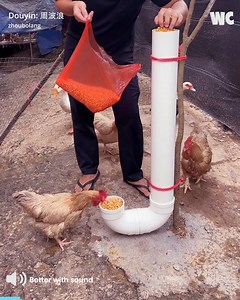 DIY Fails You Won’t Believe | Watercooler