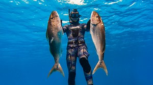 34K views · 767 reactions | With an end to 2021 and all the amazing experiences that came with it i've put together a little wrap-up video with some of our best spearfishing moments of the year. Although most of this years footage was lost when my hard drive broke i was still able to put something together with the bit i managed to save plus the last few months of diving we got to enjoy. Happy New Year and best wishes to you all! | Spearfishing Channel | Facebook