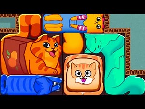 Puzzle Cats - Gameplay Walkthrough - All Levels (IOS, Android)