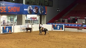 25K views · 811 reactions | Today in Houston, the #AQHA Ranching Heritage Challenge takes center stage. Riders like Holly Gundlach on Gimmie A Gun compete in ranch riding and working cow or boxing classes. Watch the live feed at rodeohouston.com. | Western Horseman | Facebook