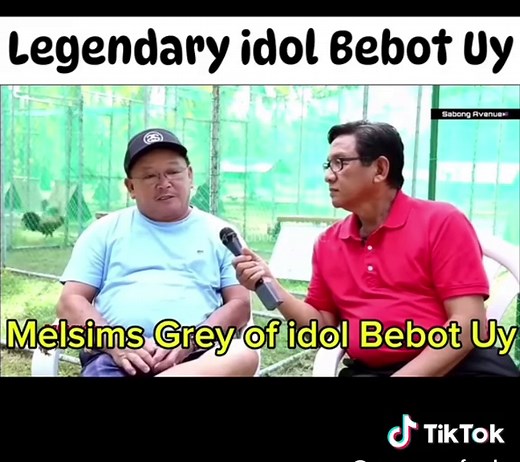 Exploring the 24M Grey Idol Bebot Bravo Stallion