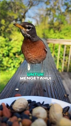 Random quotes 02 #faktaunik