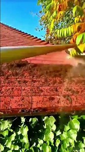 Cleaning Thick Moss from Roof Tiles Using a Powerful Professional Pressure Washer Machine