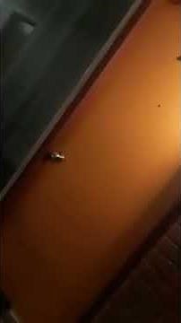 Couple fighting at hotel