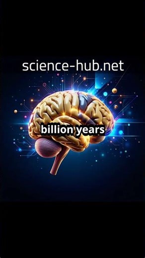 Advancements in Understanding Visual Processing in the Brain